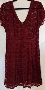 Torridge stretch lace dark red mini dress